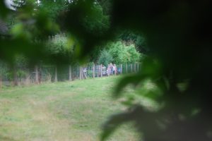 camp2019-02 - 22.jpg